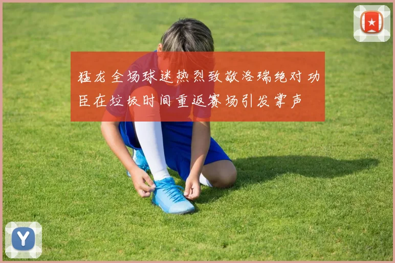 猛龙全场球迷热烈致敬洛瑞绝对功臣在垃圾时间重返赛场引发掌声