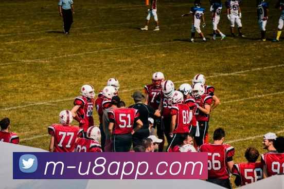 U8国际平台生态图